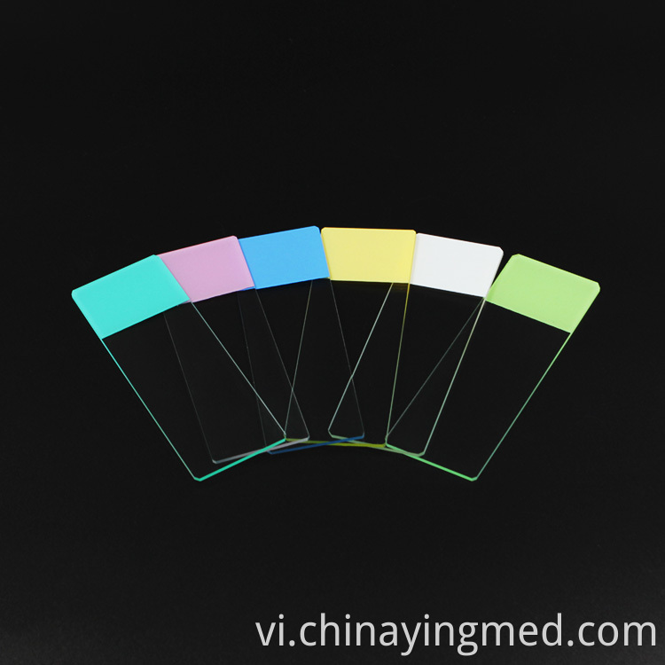 Color Microscope Slide